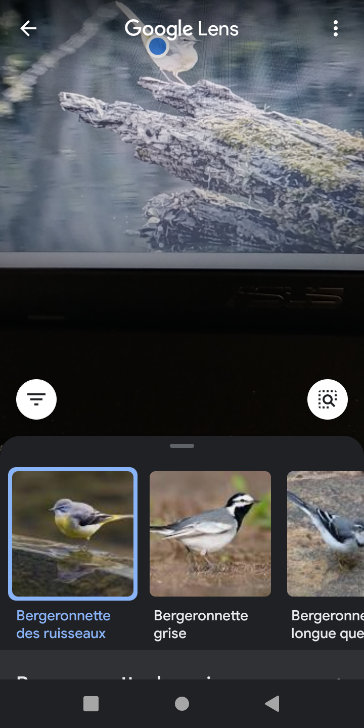 Screenshot_20210406-101640.png