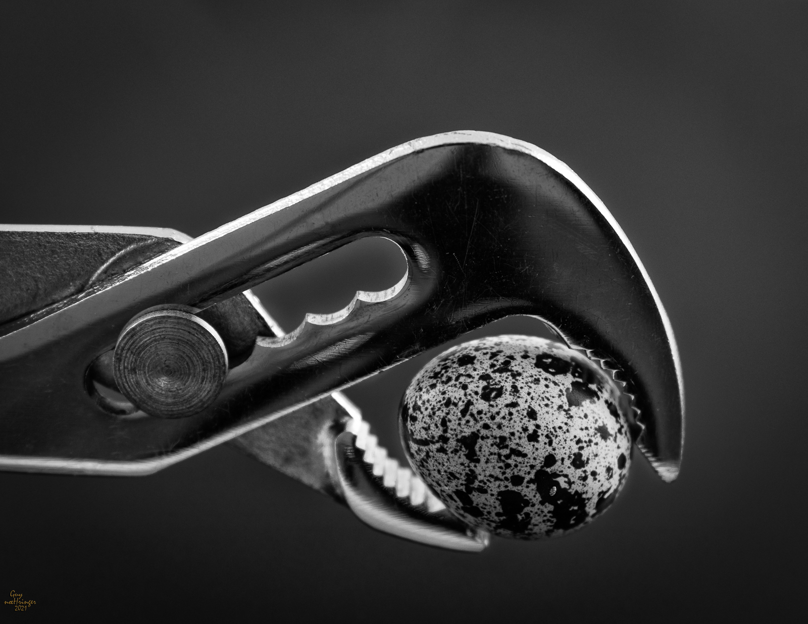 20210331-9657-Modifier-2-Modifier.jpg