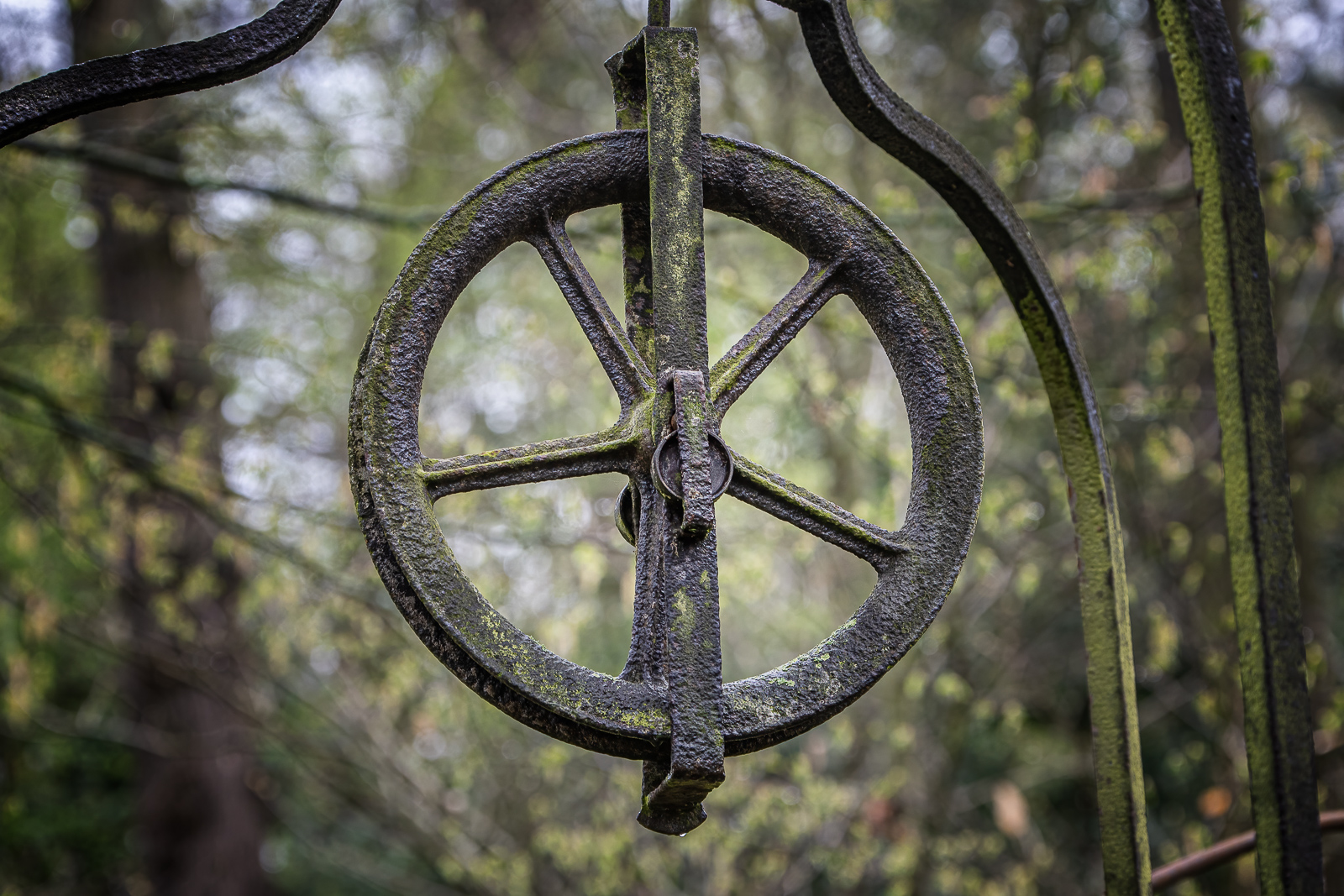 DSC_3965-Modifier-Modifier.jpg
