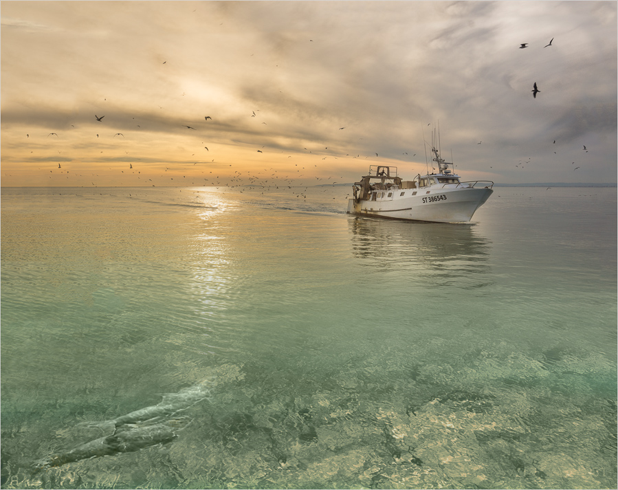 Compagnons de route.jpg