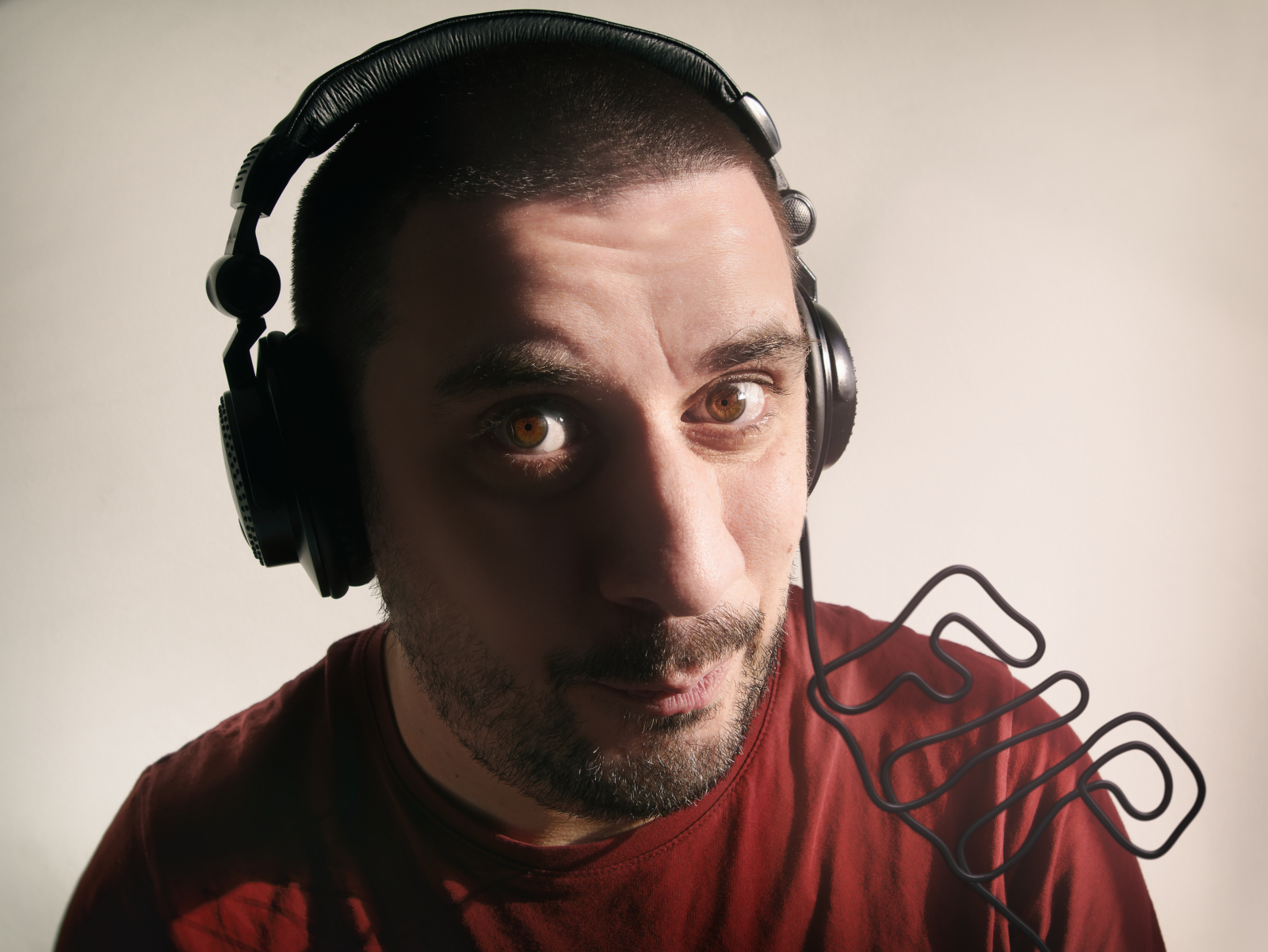 Branché sur FIP.jpg