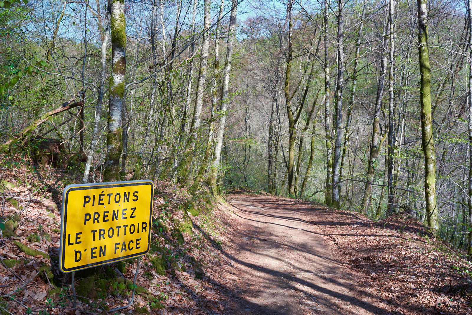 21415_D755330_Piétons.jpg