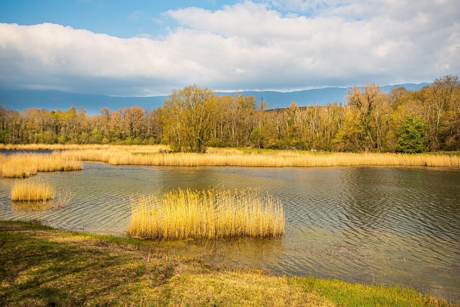 _DSC0604-6. avec métadonnéesjpg.jpg