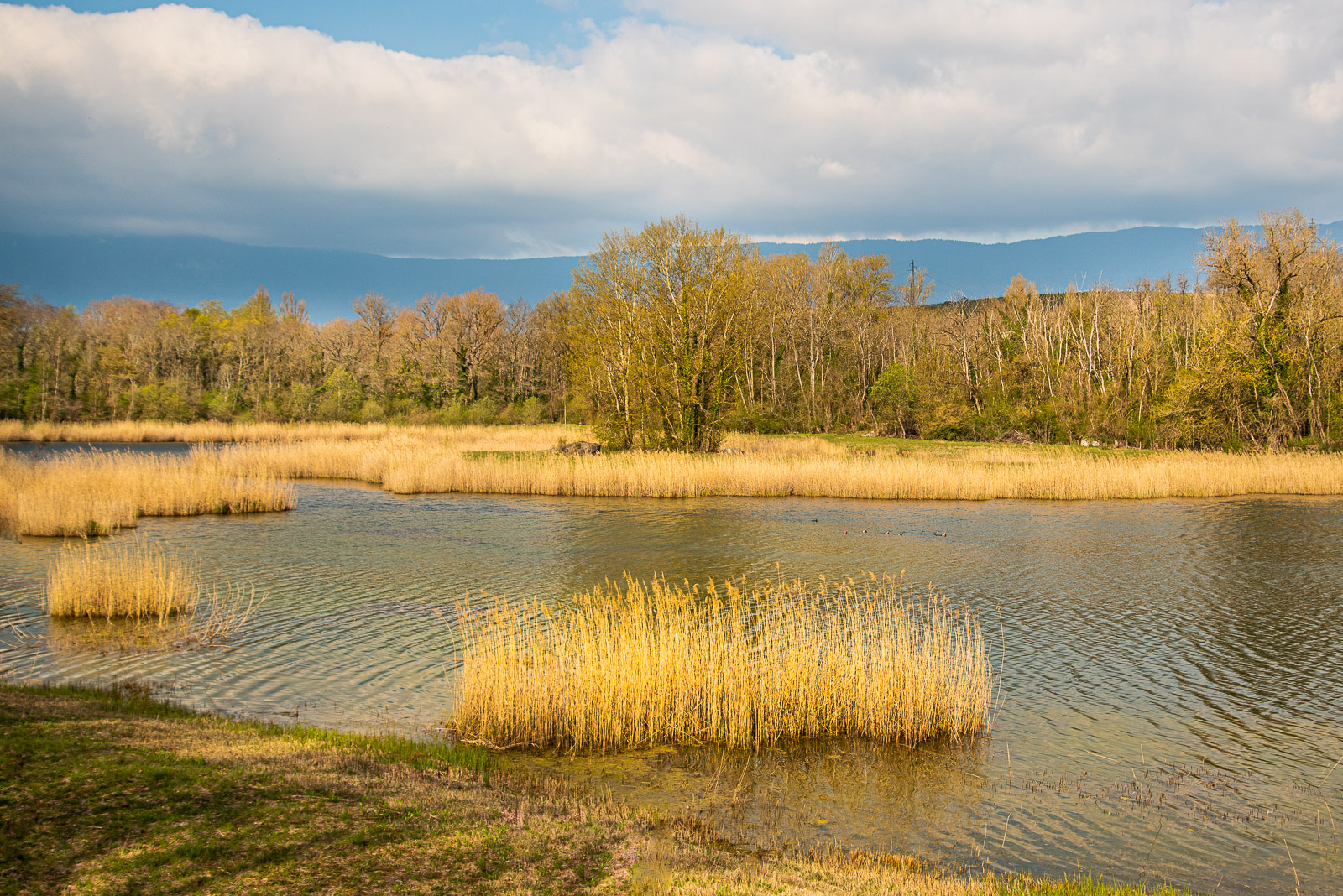 _DSC0604.jpg