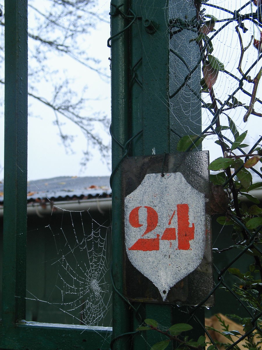 20111126-006.jpg