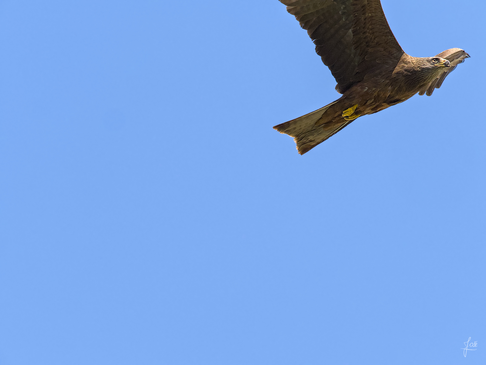 20210420_JCA0780.jpg