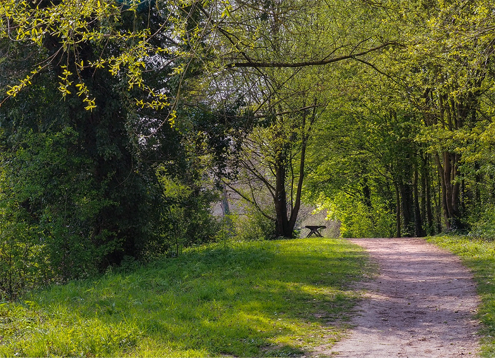 Photo DidierLille - Un endroit zen - 21 avril 2021.jpg