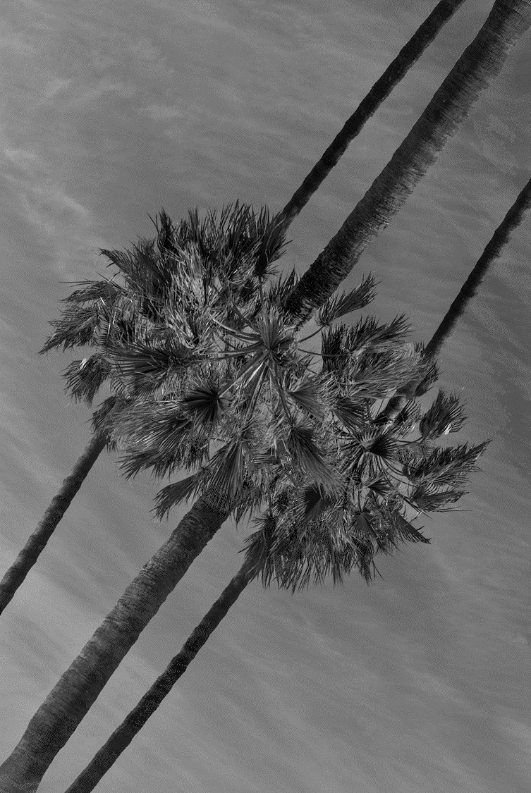 niqueuenitetej.jpg