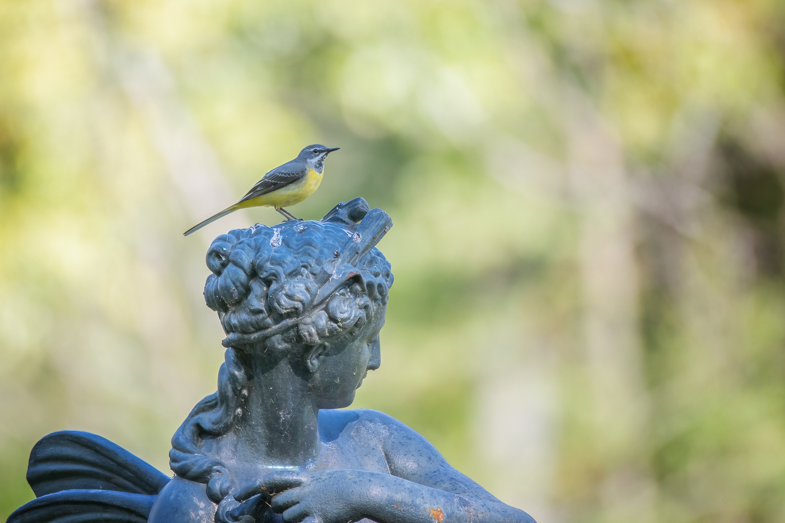 DSC_6944-Modifier-Modifier.jpg