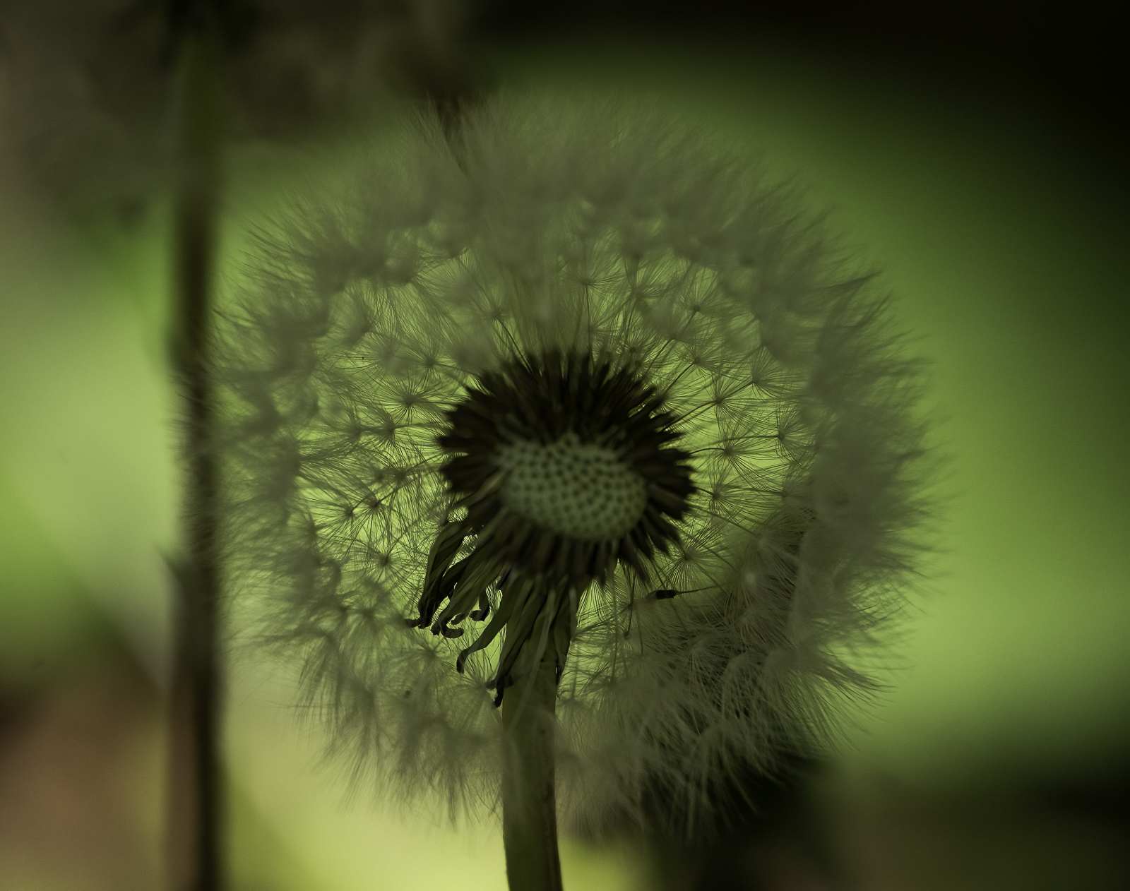_1060514-Modifier.jpg