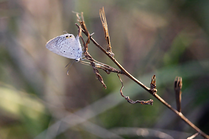 aphoto.jpg