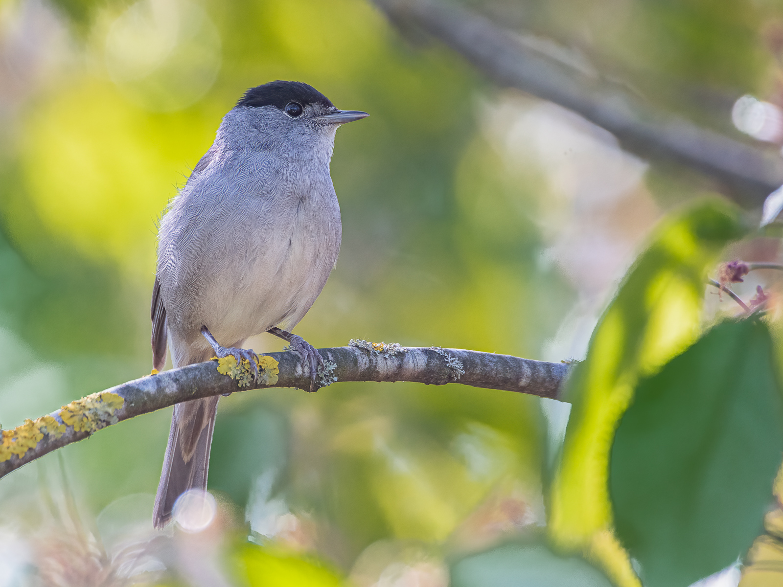 DSC_7610-Modifier.jpg