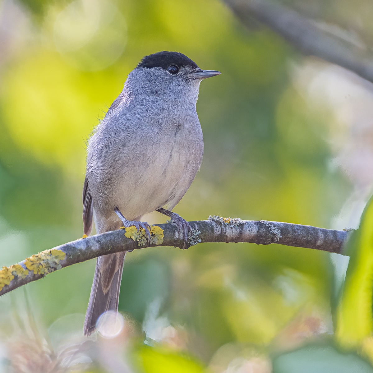 DSC_7610-Modifier.jpg