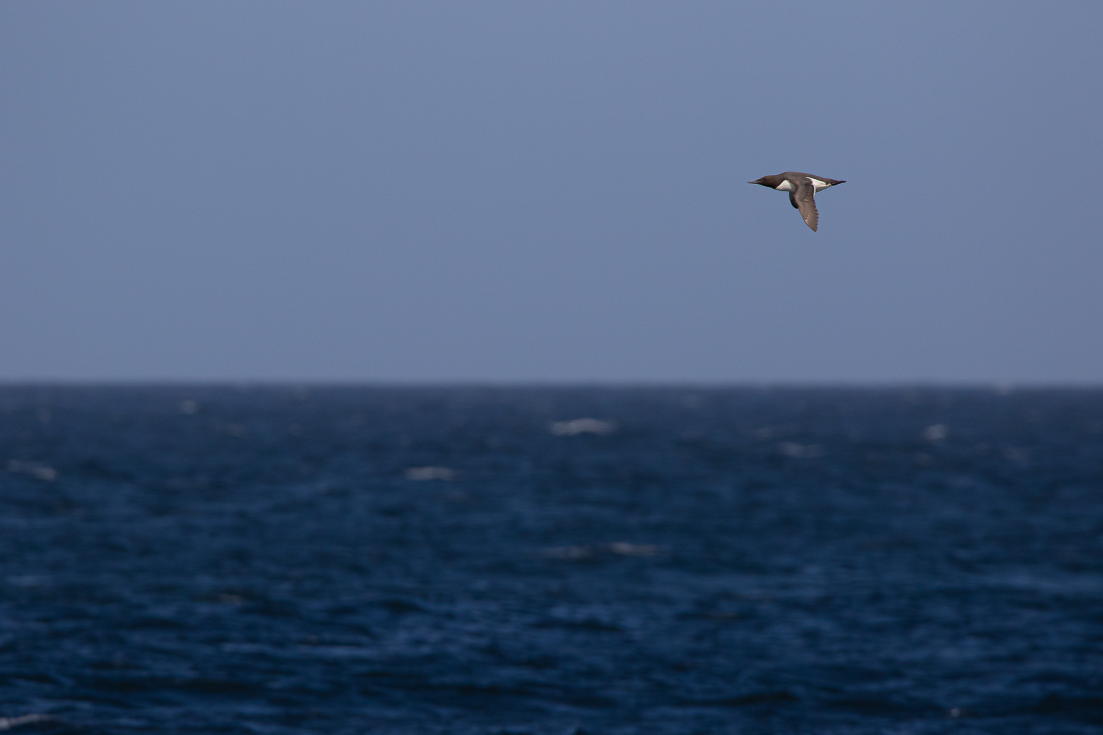 15052021-0L1A8916.jpg