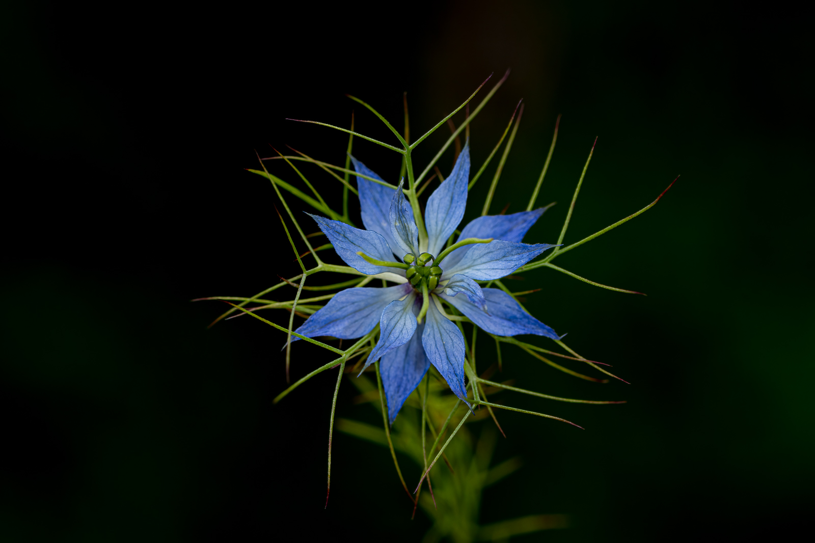 DSC_9414-Modifier.jpg