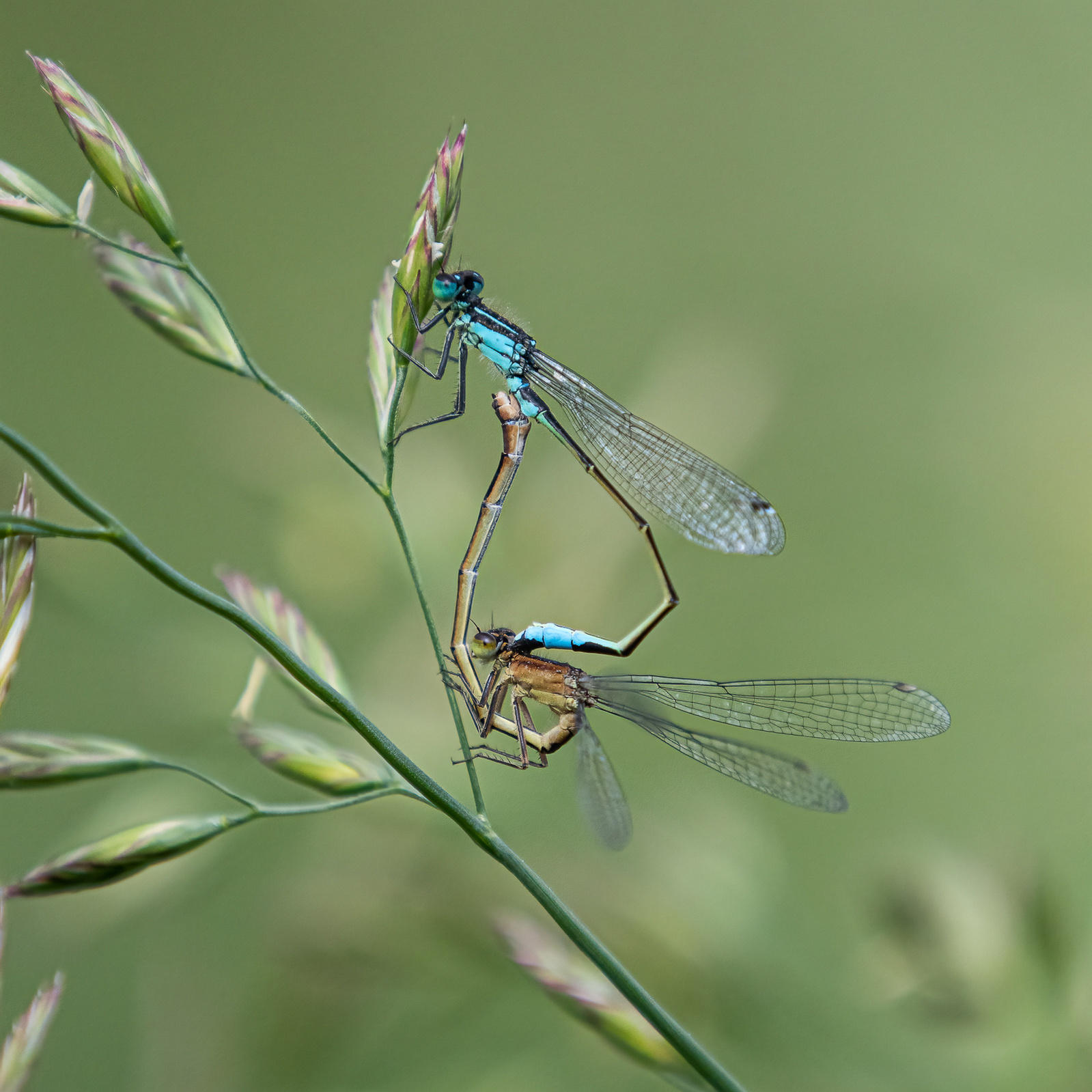 DSC_9819-Modifier.jpg