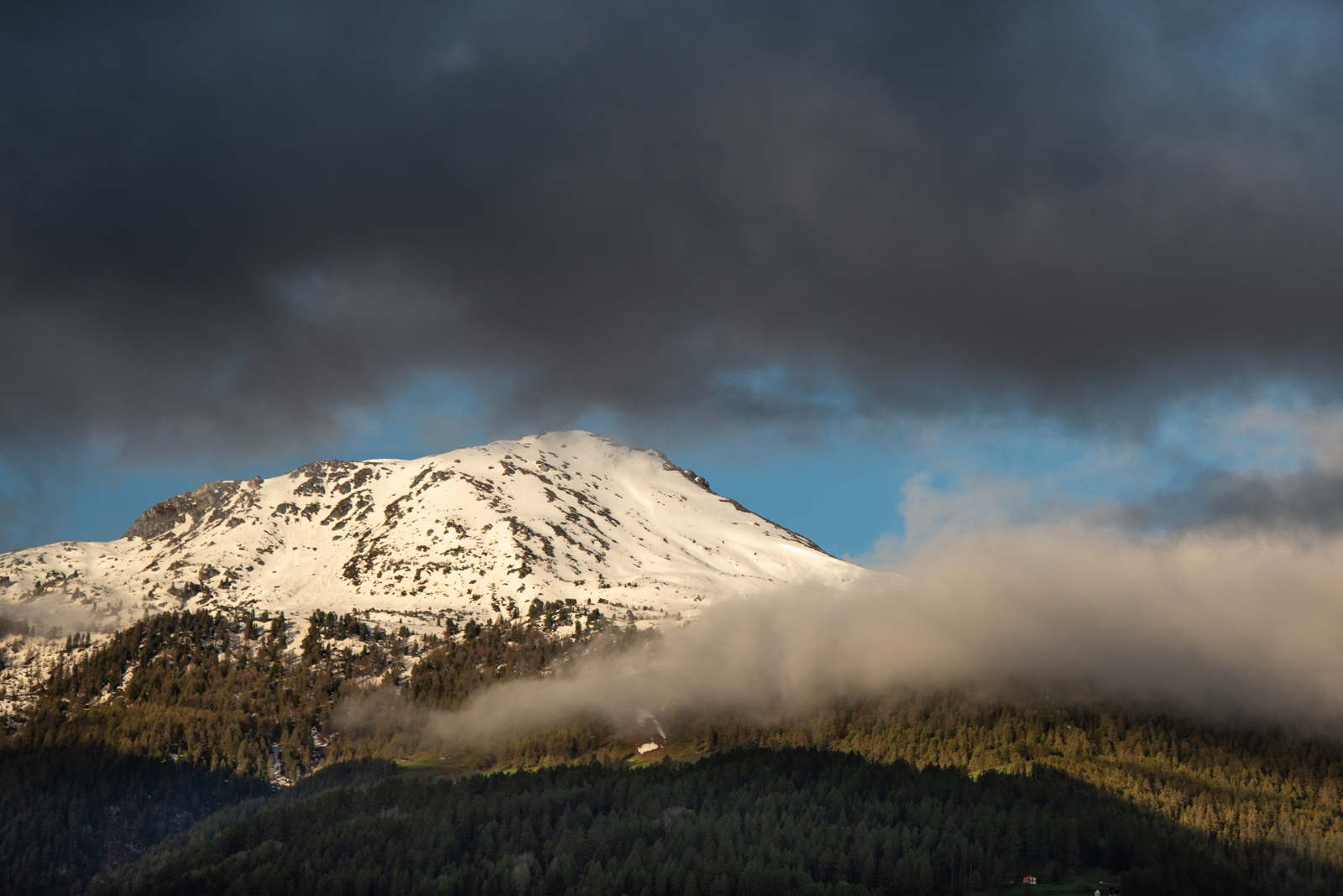 _DSC0622.jpg