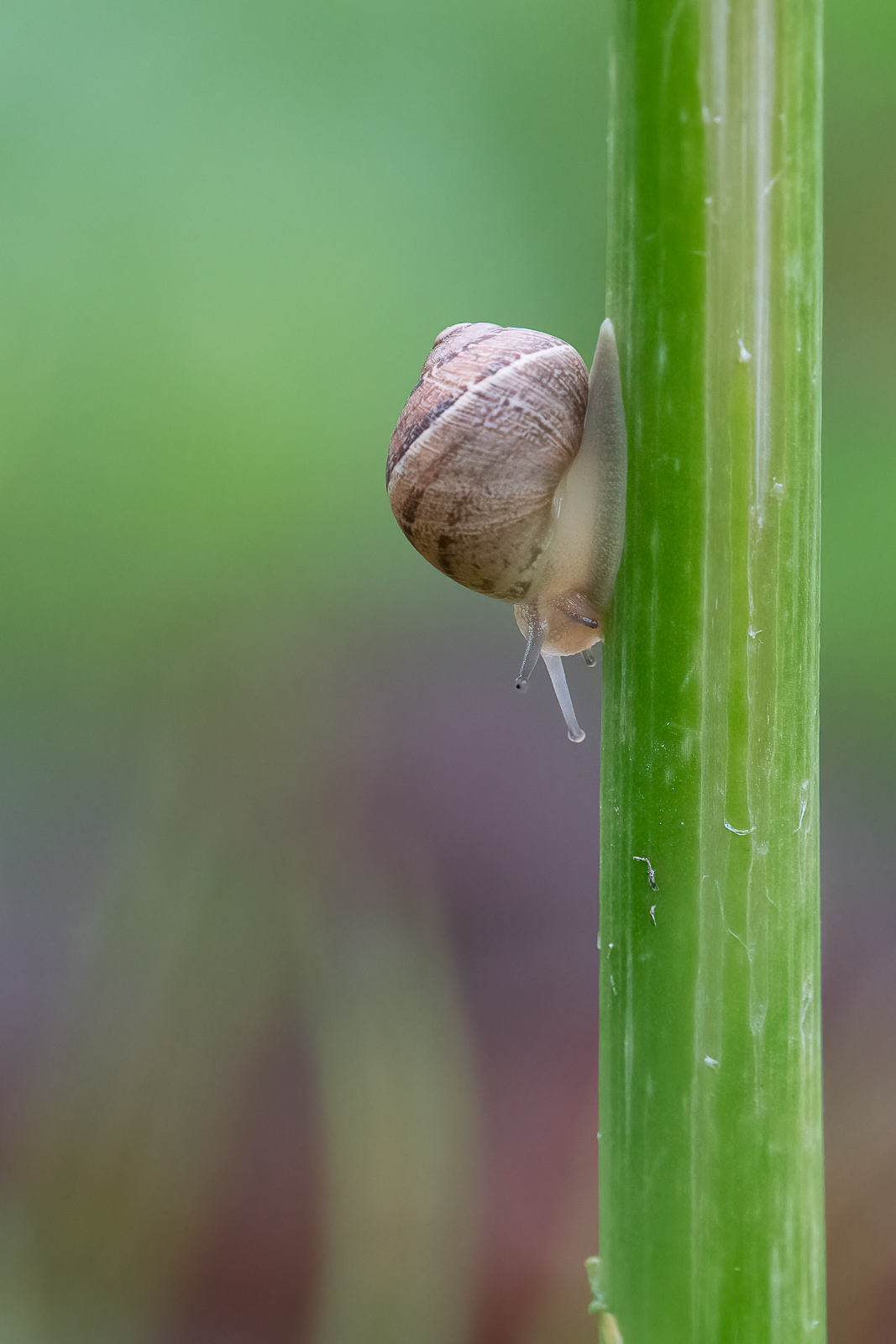 DSC_0202-Modifier.jpg