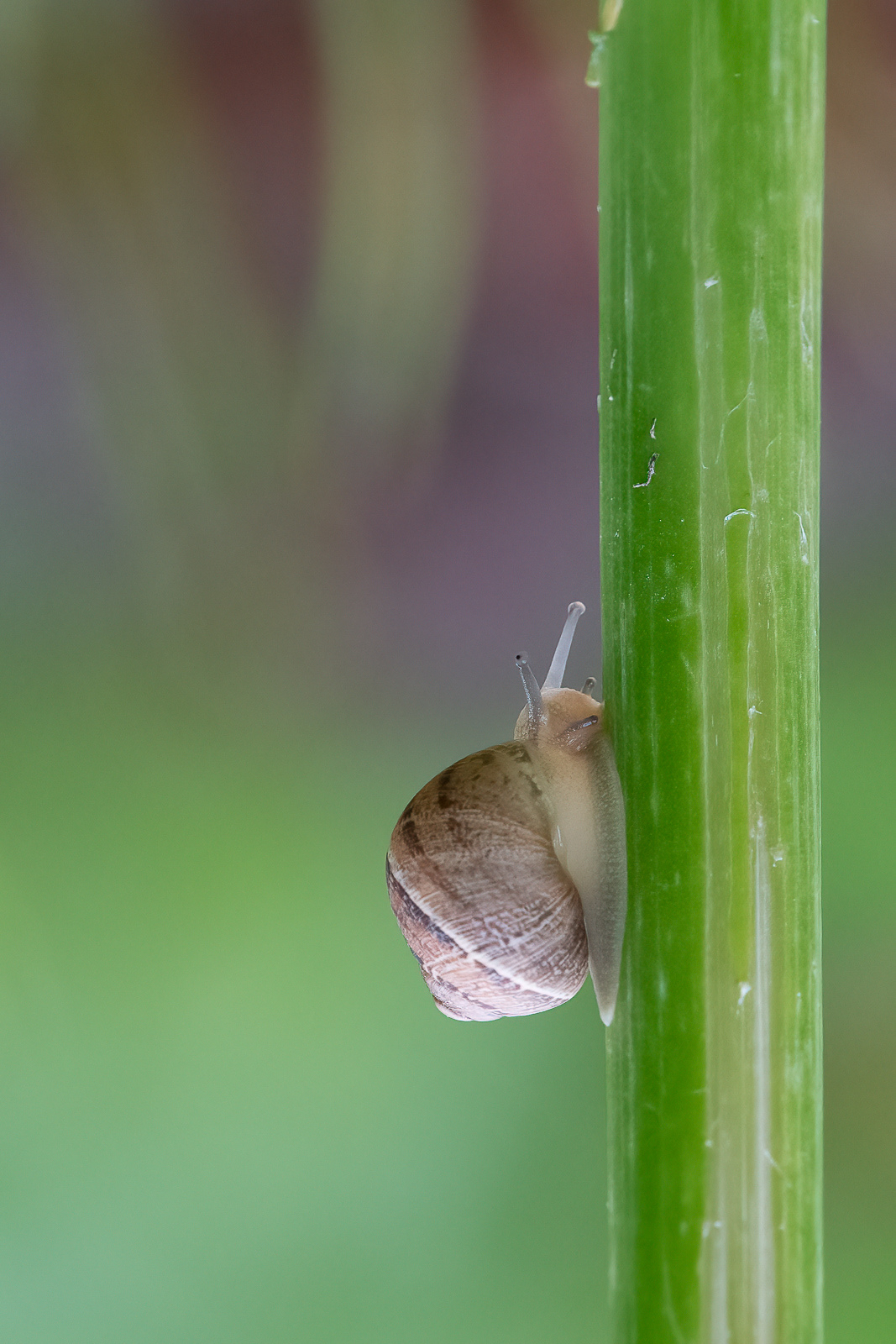 DSC_0202-Modifier.jpg