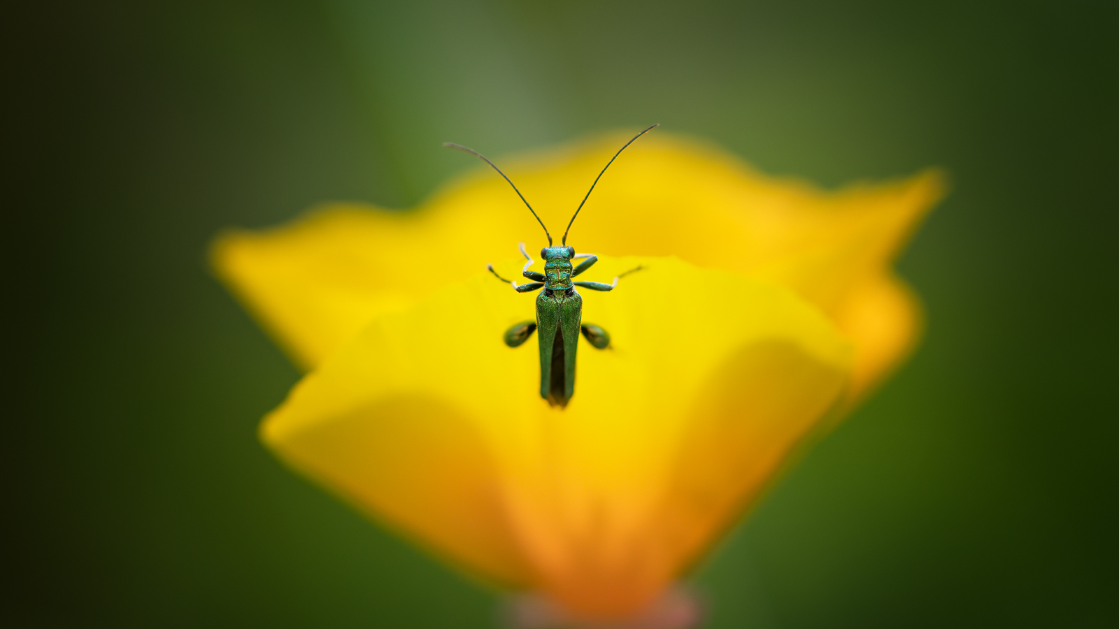 DSC_0852-Modifier-Modifier-2.jpg