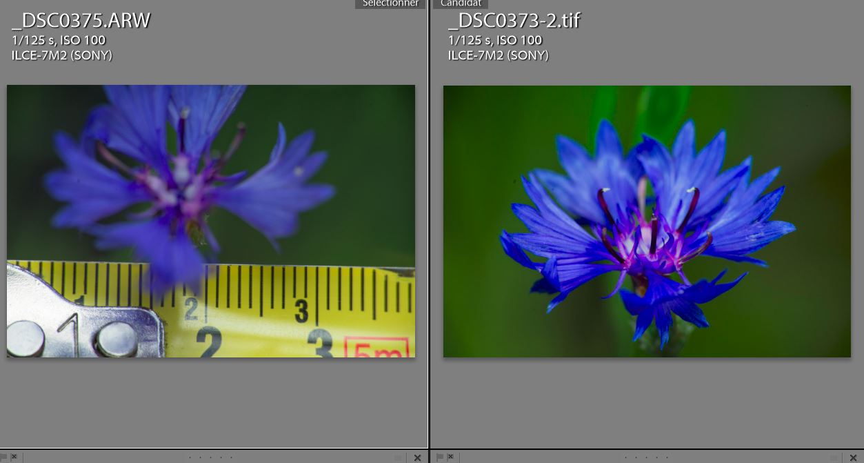 Minolta.JPG