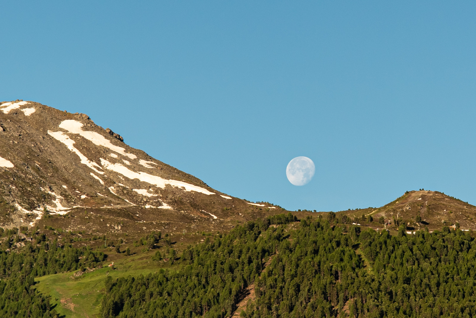_DSC0651.jpg