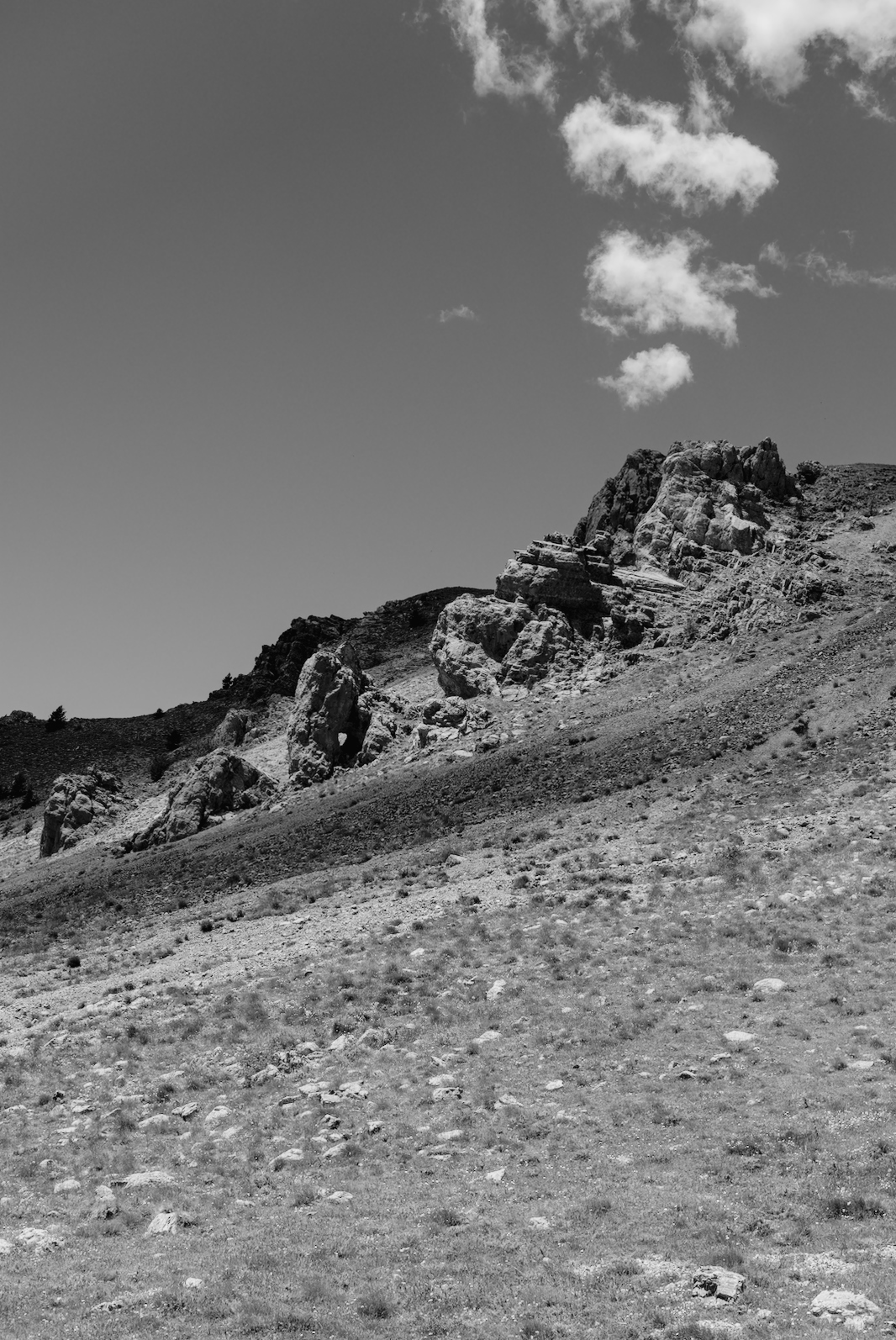 DSCF4908_01.jpg