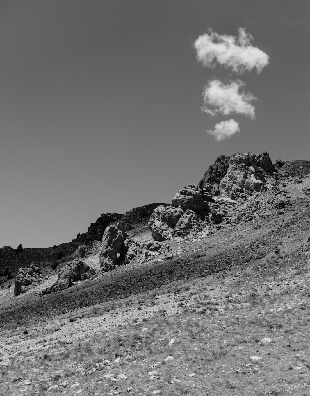 DSCF4908_01.jpg