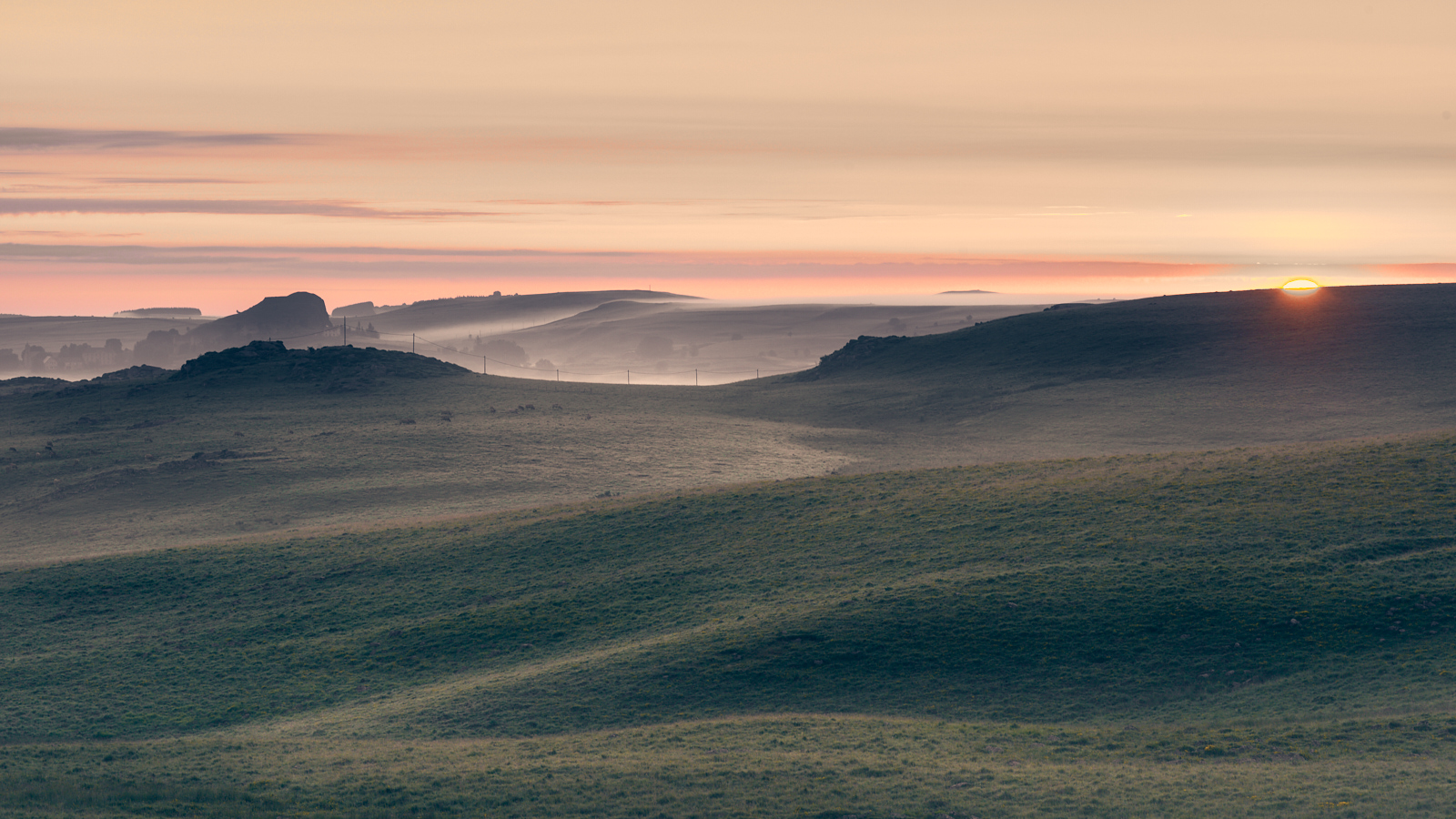 2172_D756691_Aubrac 1.jpg