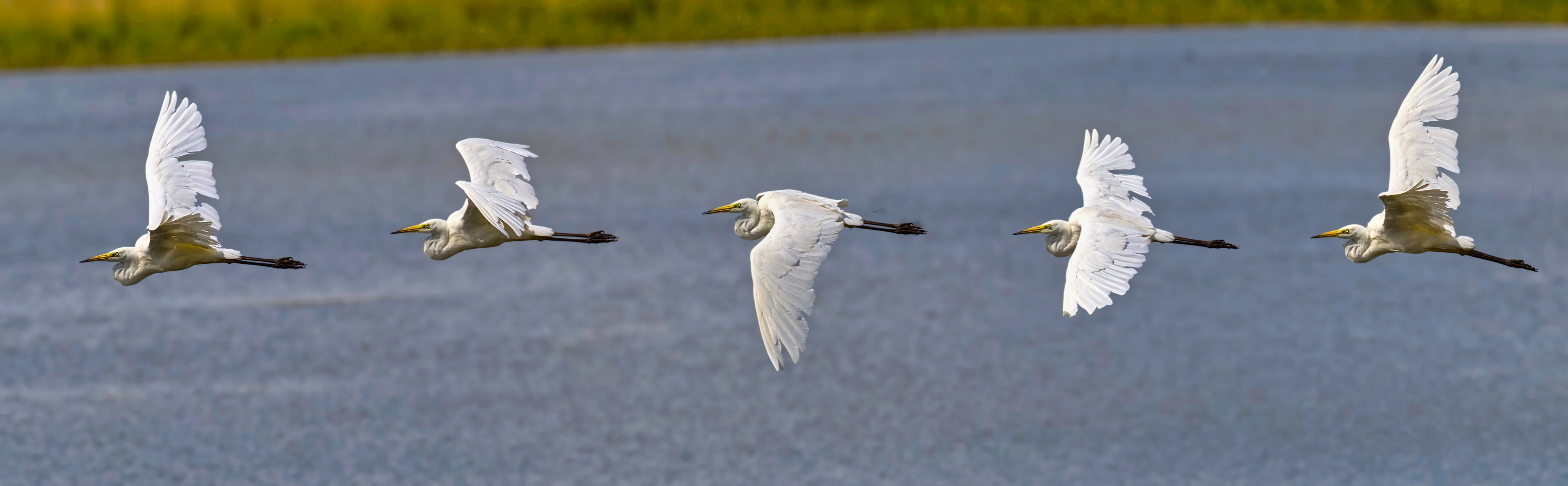 20210711_JCA0126 - 20210711_JCA0129_5_01.jpg