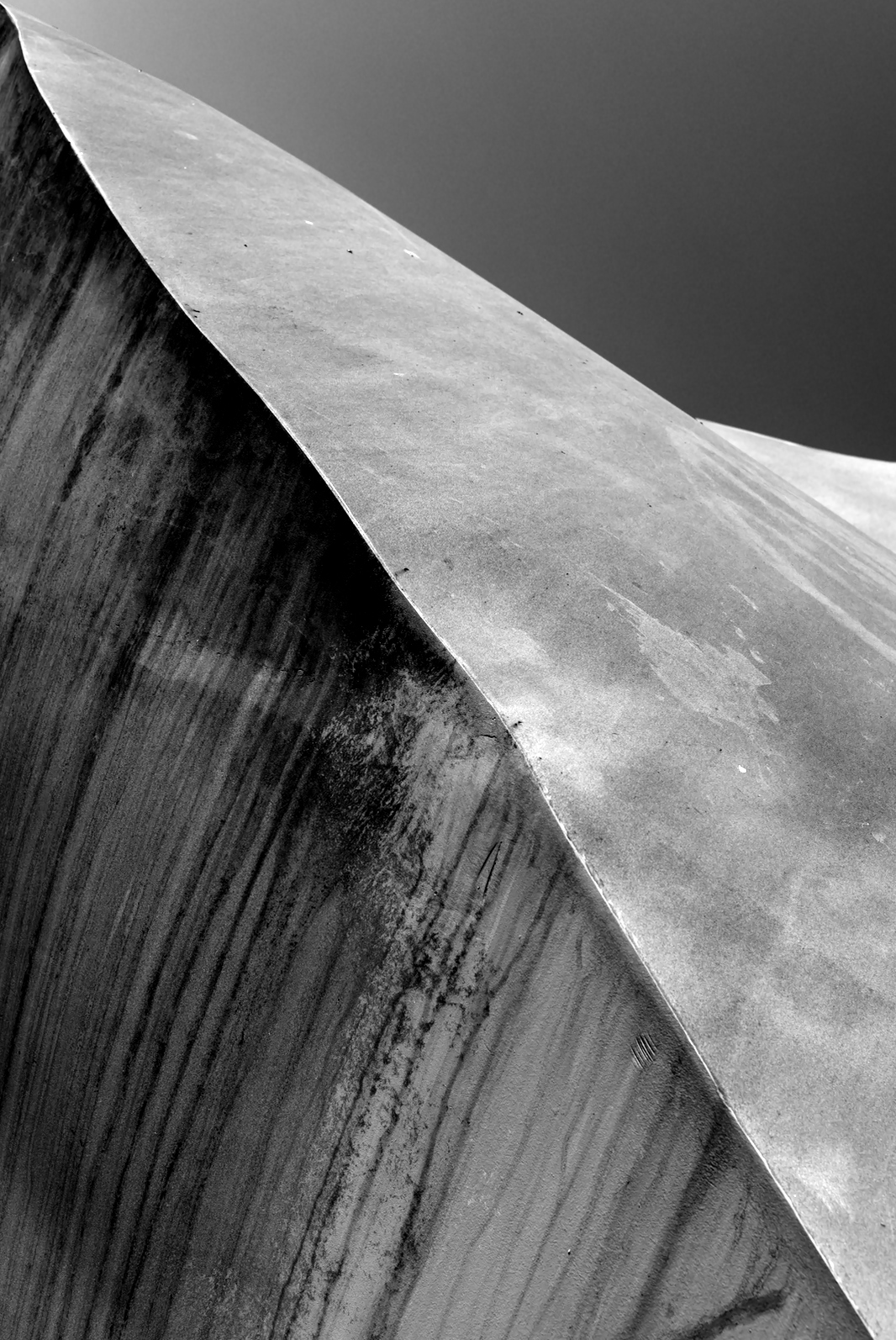 Baleine concrète NB.jpg