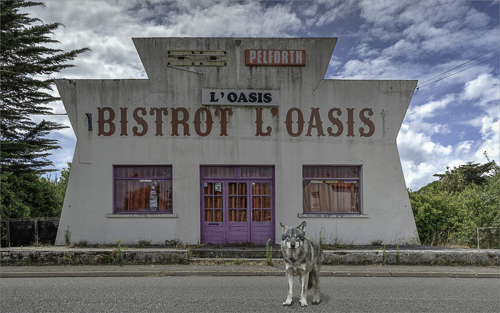 Bistrot et coyote.jpg