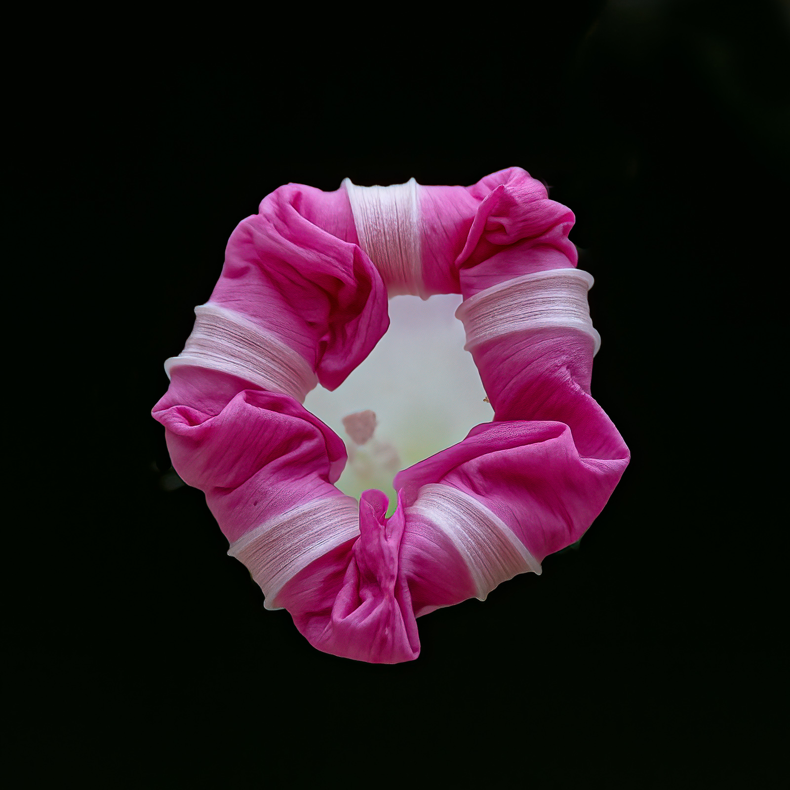 DSC_7217-Modifier-Modifier-Modifier.jpg