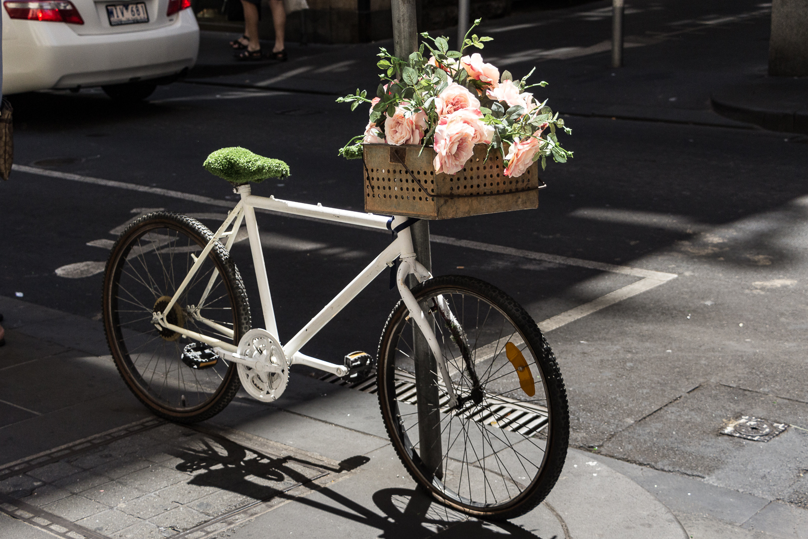 20140113-5266.jpg