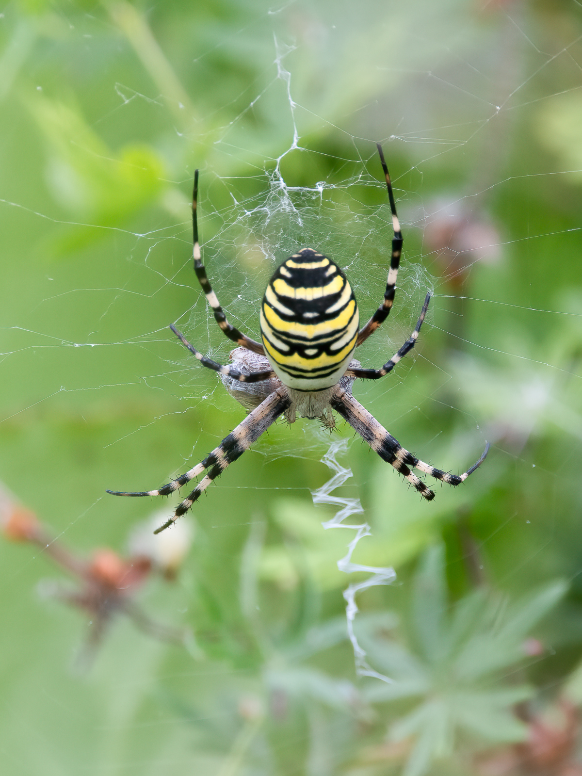 DSC_7405-Modifier.jpg