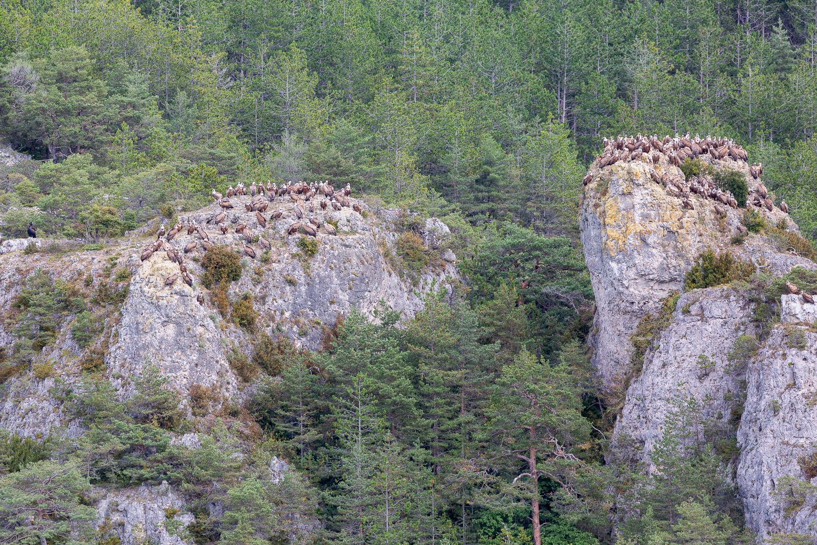5D3_5689.jpg