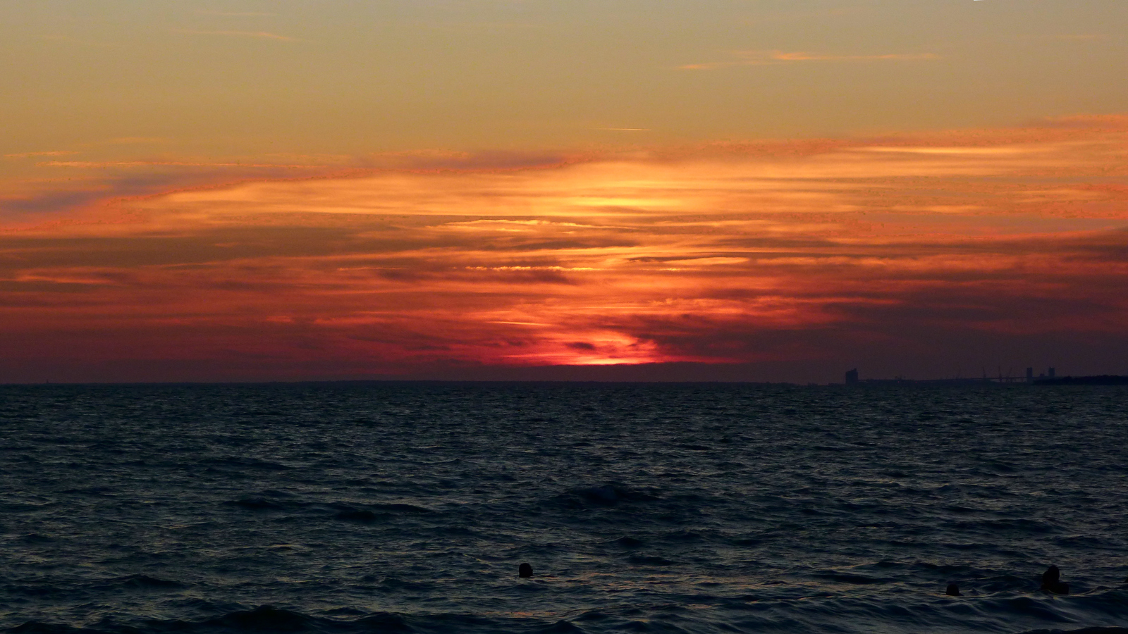 07 juillet 2019_Chacha.jpg