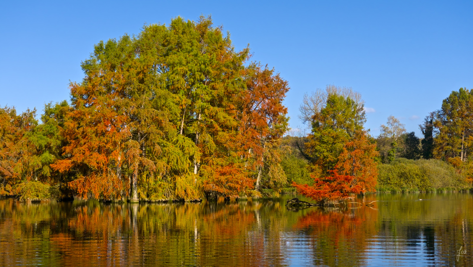 20211025__JCA0040_01.jpg