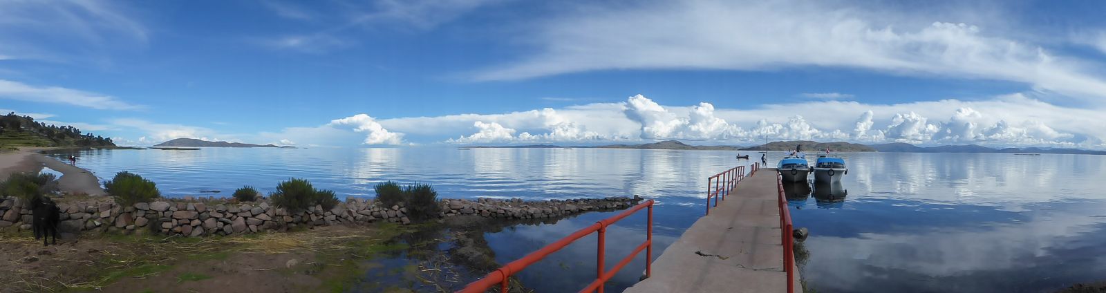 P1000851-1600.jpg