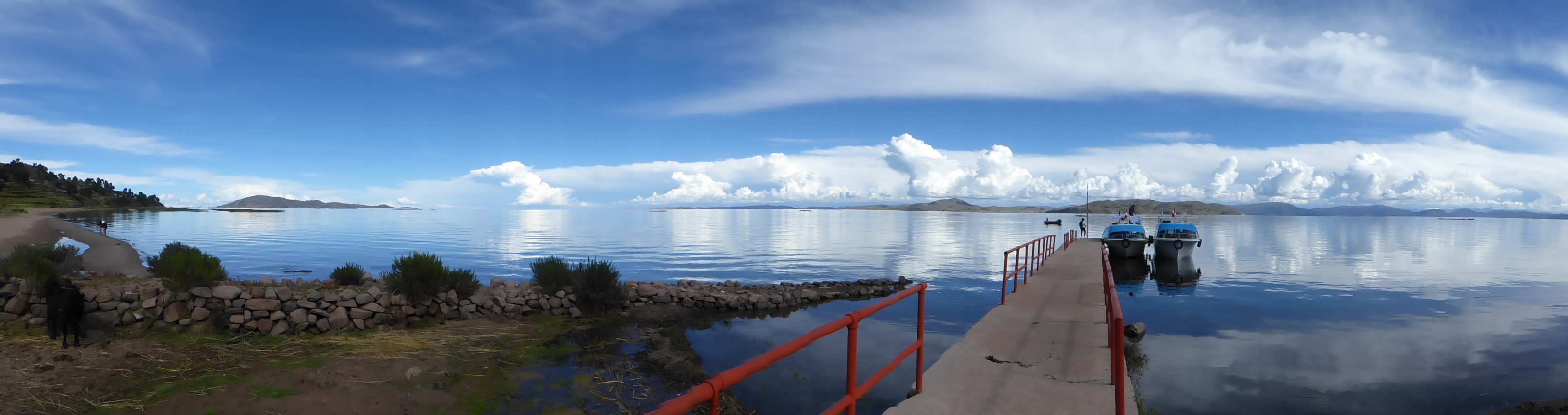 P1000851.jpg