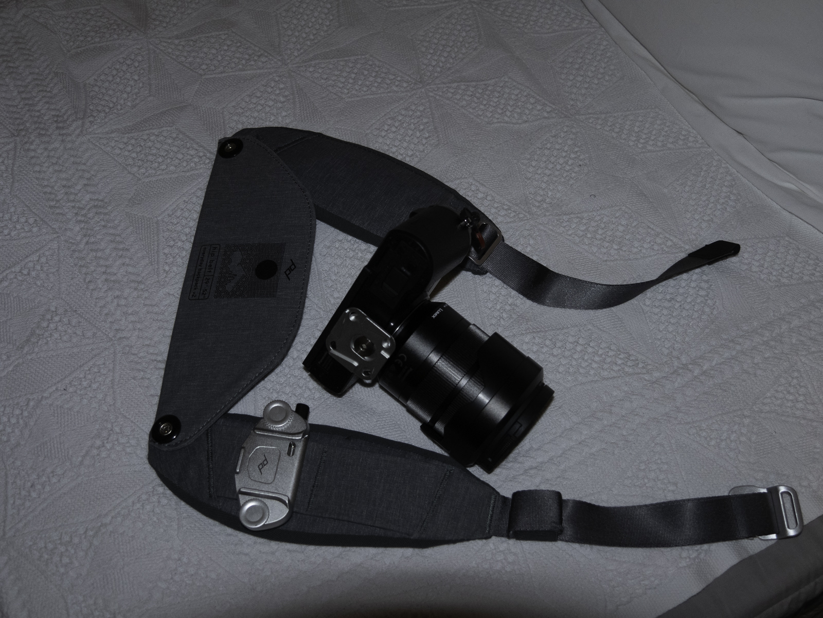 P1070944.jpg