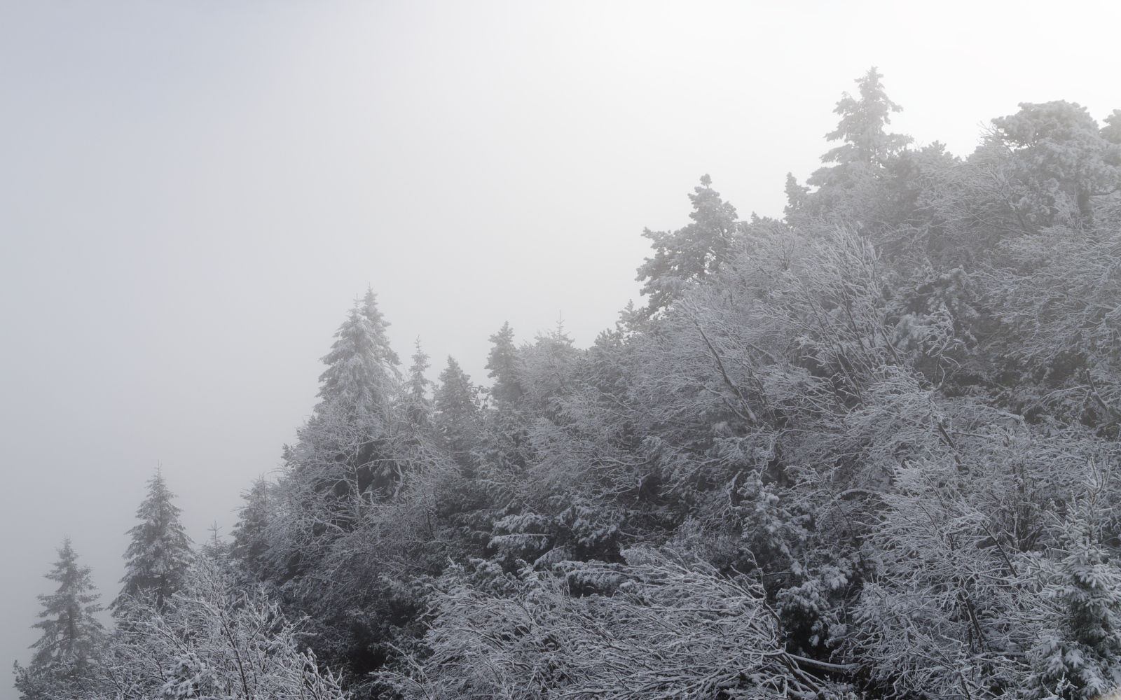 Hiver01.jpg