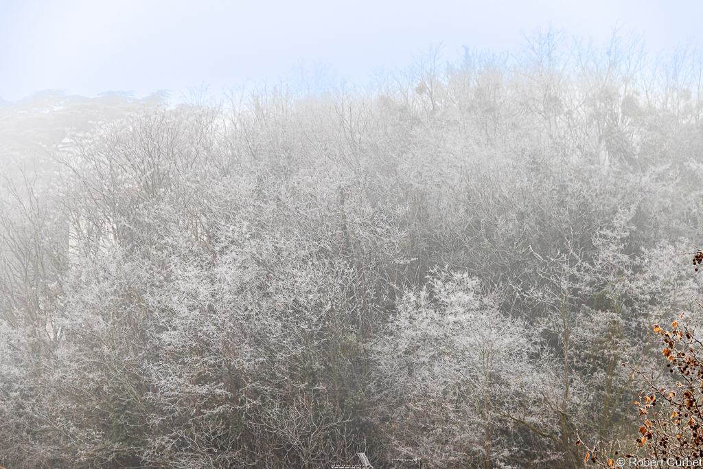 Hiver4.jpg