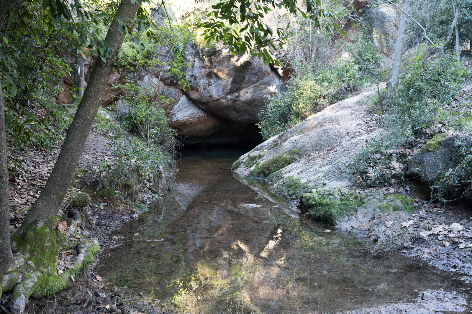 DSC_2062-Modifier.jpg