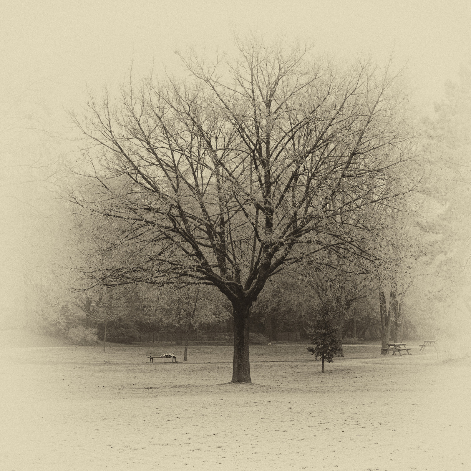 Hiver06.jpg