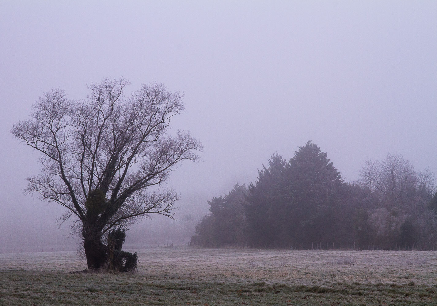 Hiver7.jpg