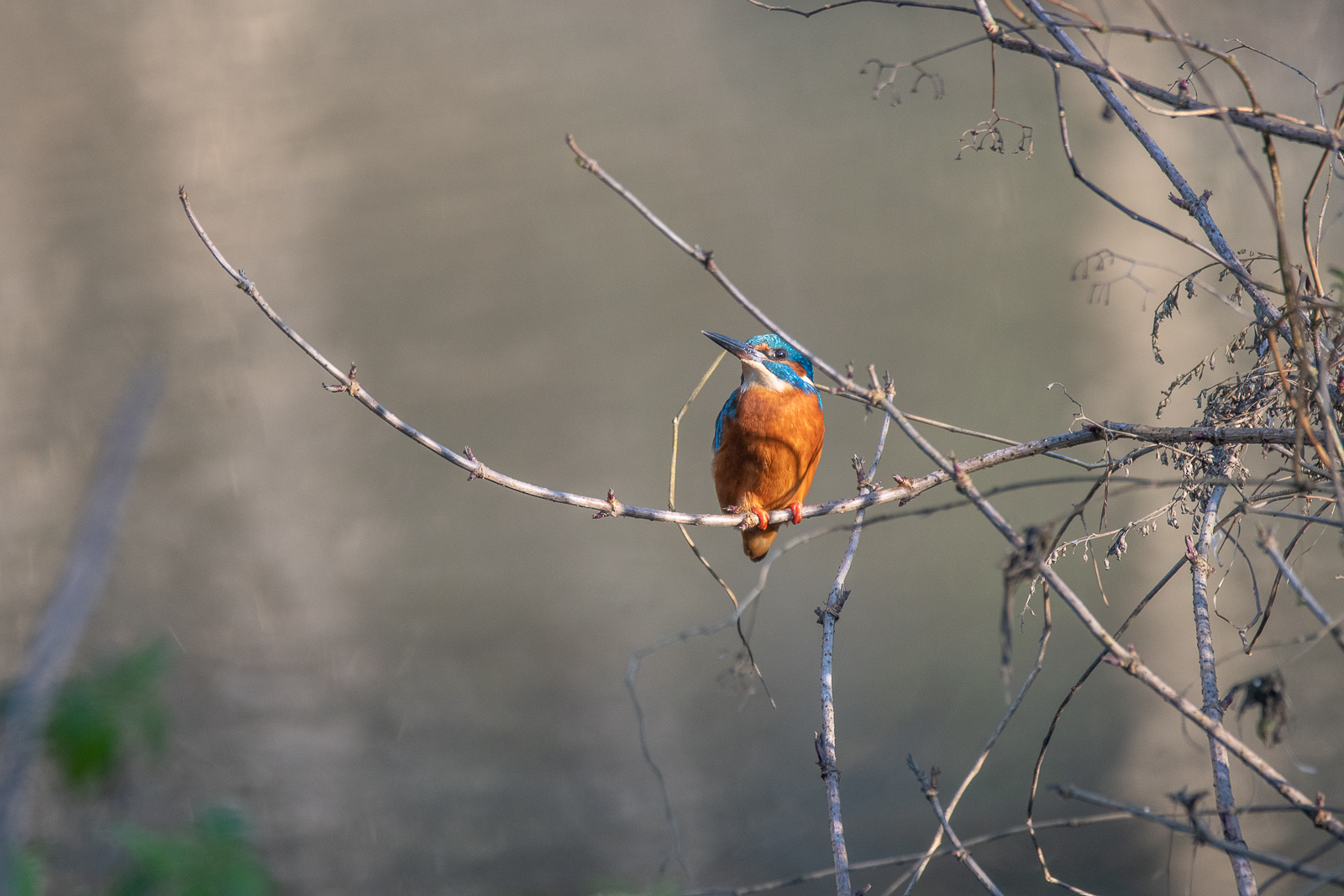 DSC_6719.jpg