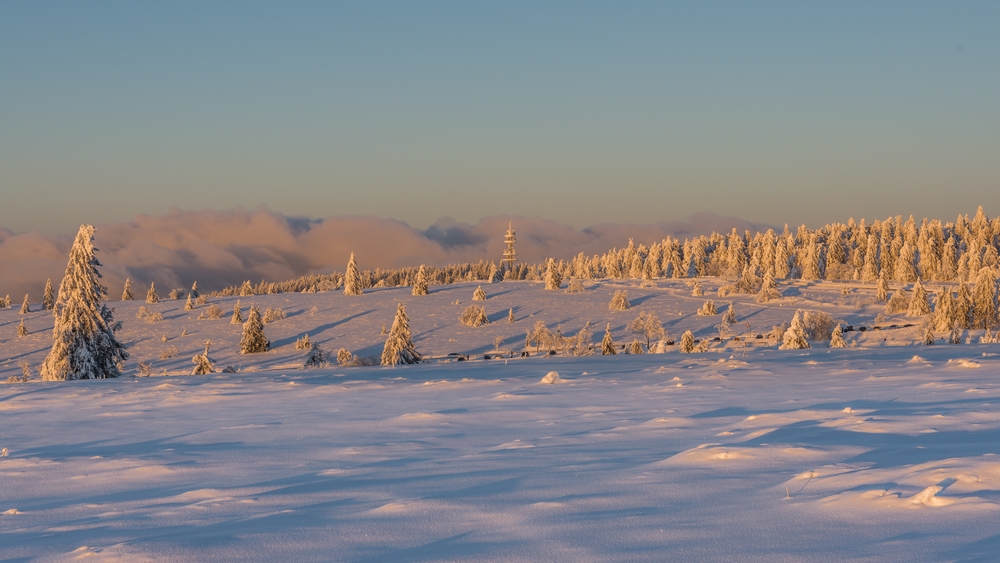 DSC_4733.JPG 1.JPG
