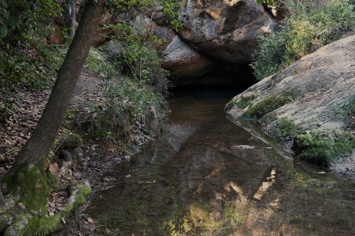 DSC_2062-Modifier.jpg