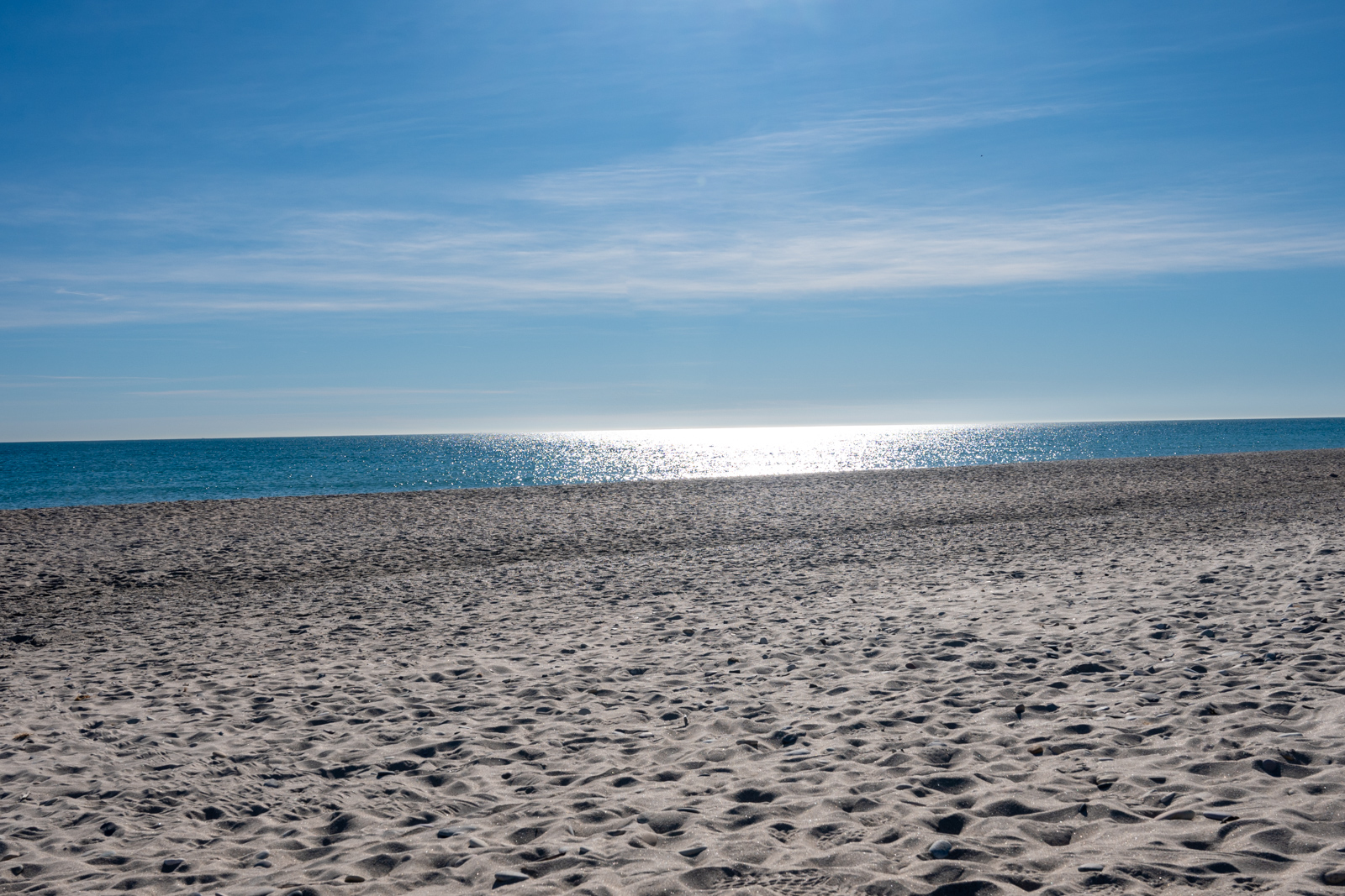 DSC_2196.jpg